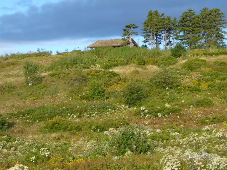 Beech Nut Beech Nut, Beech Hill, Rockport, Maine, 09 September 2010.